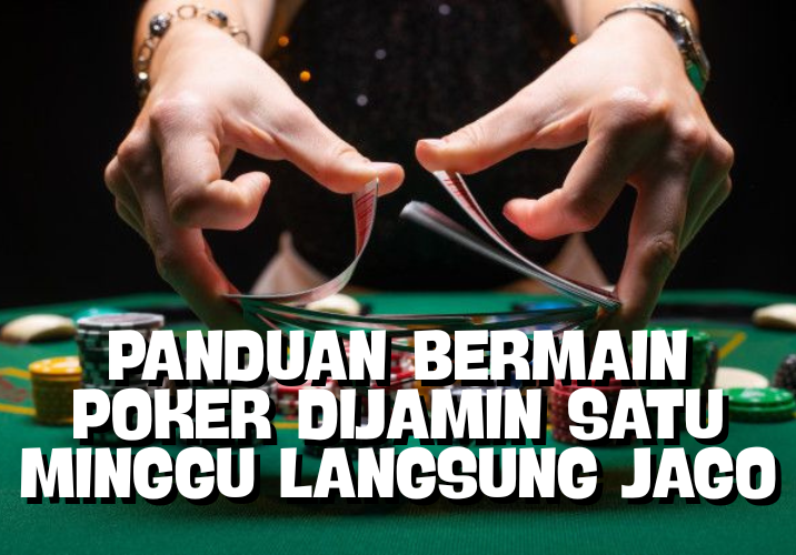 Panduan Bermain Poker Online Satu Minggu Langsung Bisa
